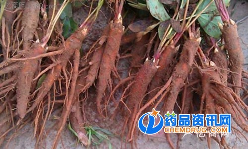 白芍苗价格+白芍苗价格=山西白芍苗价格图1