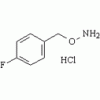 4-氟苄氧胺盐酸盐[51572-89-5]