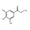 直供  没食子酸甲酯