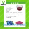 药用提取物蓝莓果粉花青素提取物批量出售
