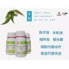 龙昌乐畅桉树精油菌虫双抗肠道保健预防加州鲈肠炎病