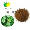 刺五加提取物