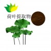 荷叶提取物