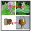 藿香提取物10:1 藿香粉 藿香浓缩粉宁夏凯源生物