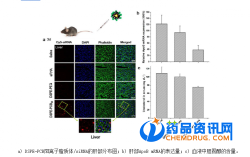 QQ截图20190817211241