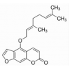 佛手柑素 7380-40-7 对照品